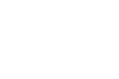 Lion Stone